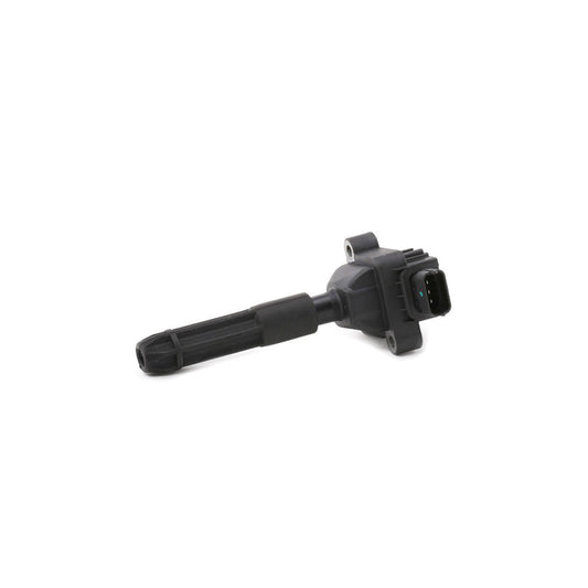 Beru Zs041 Ignition Coil