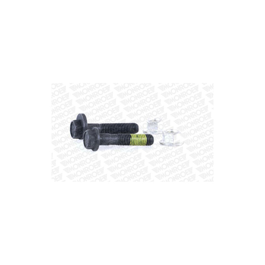 Monroe Ak058 Screw Kit, Suspension Strut / Wheel Bearing Housing
