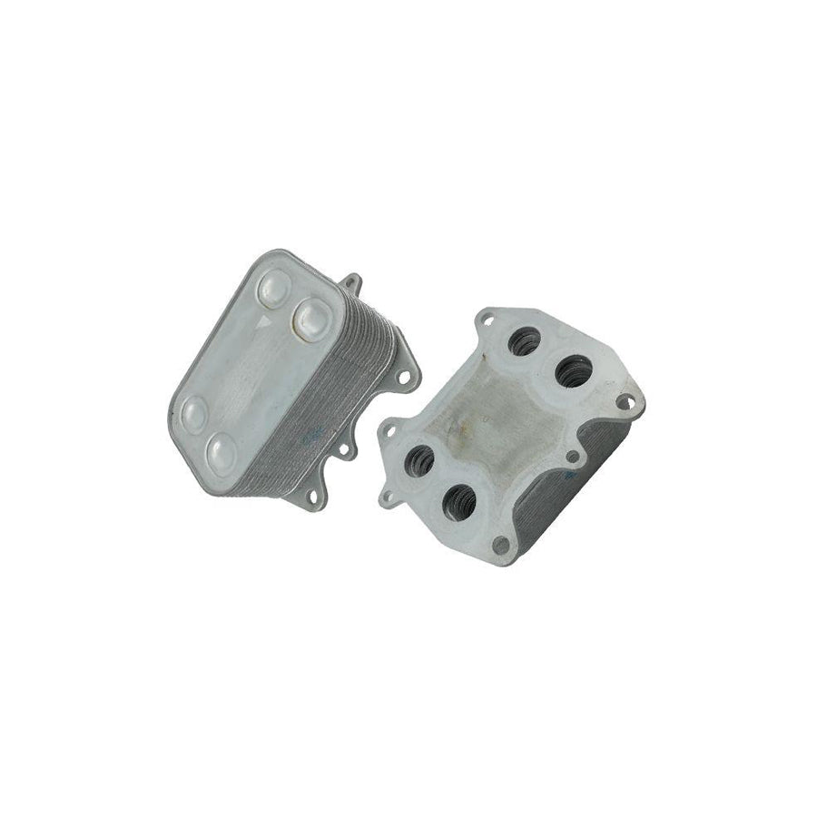 BUGIAD Bsp23204 Engine Oil Cooler