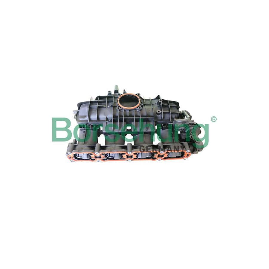 Borsehung B10664 Intake Manifold, Air Supply