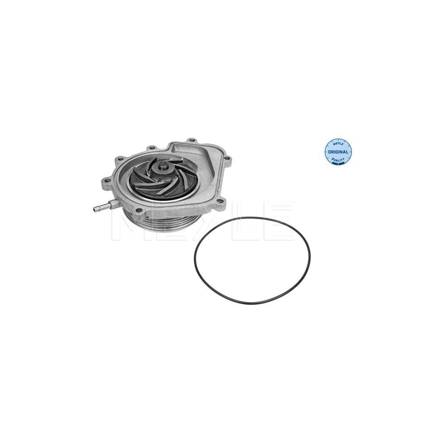 Meyle 013 220 0015 Water Pump