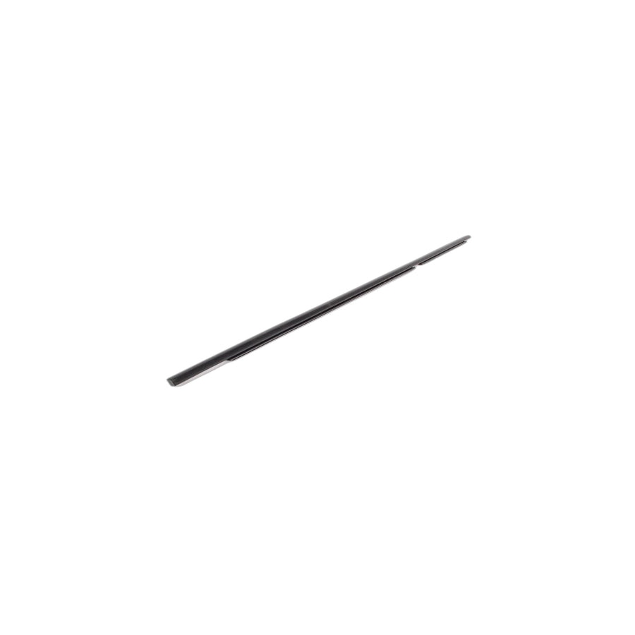 Genuine BMW 51357136976 E70 Window Well Strip, Outer, Door, Rear Rgt SCHWARZ (Inc. X5) | ML Performance US Car Parts