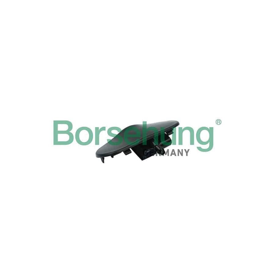 Borsehung B18498 Windscreen Washer Jet for Audi Q3 (8Ub, 8Ug)