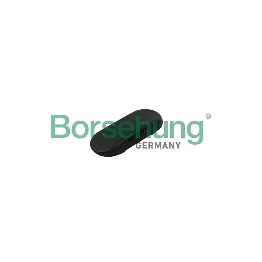 Borsehung B18497 Windscreen Washer Jet for Audi A6