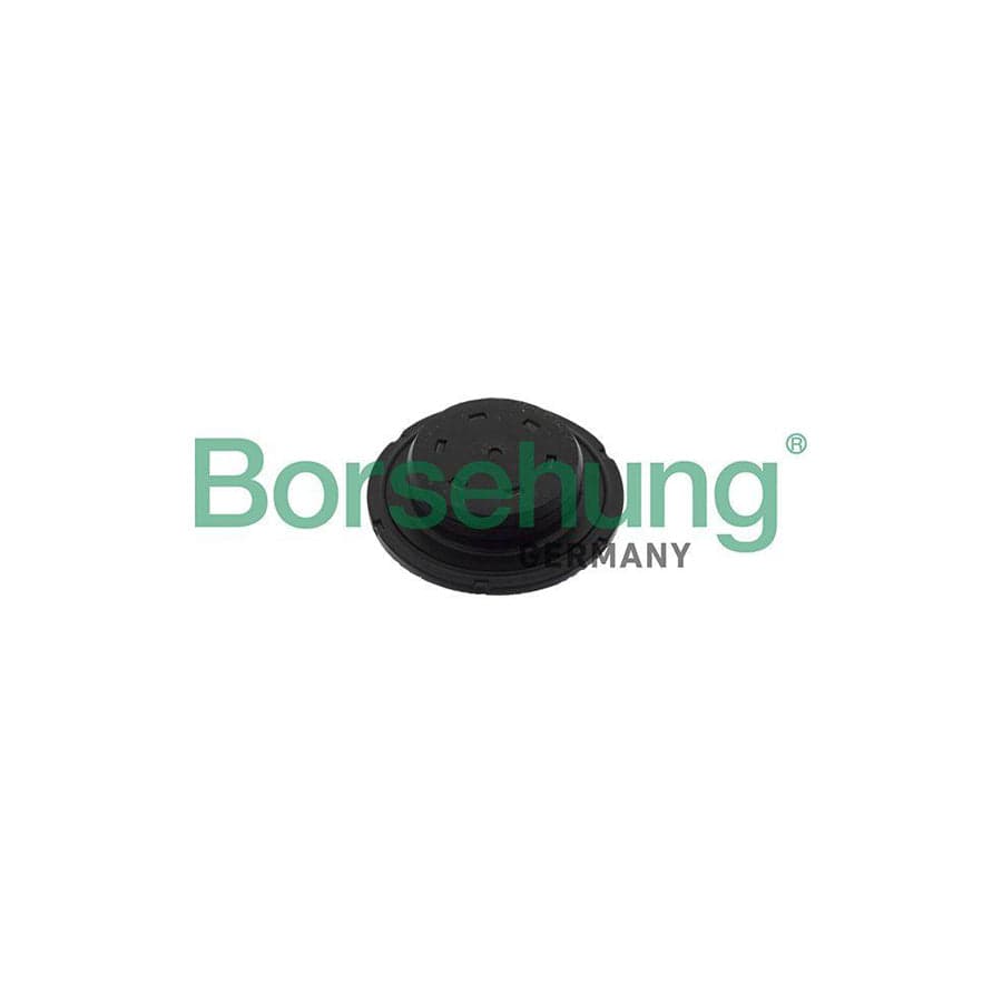 Borsehung B10644 Repair Sleeve, Timing Case Cover