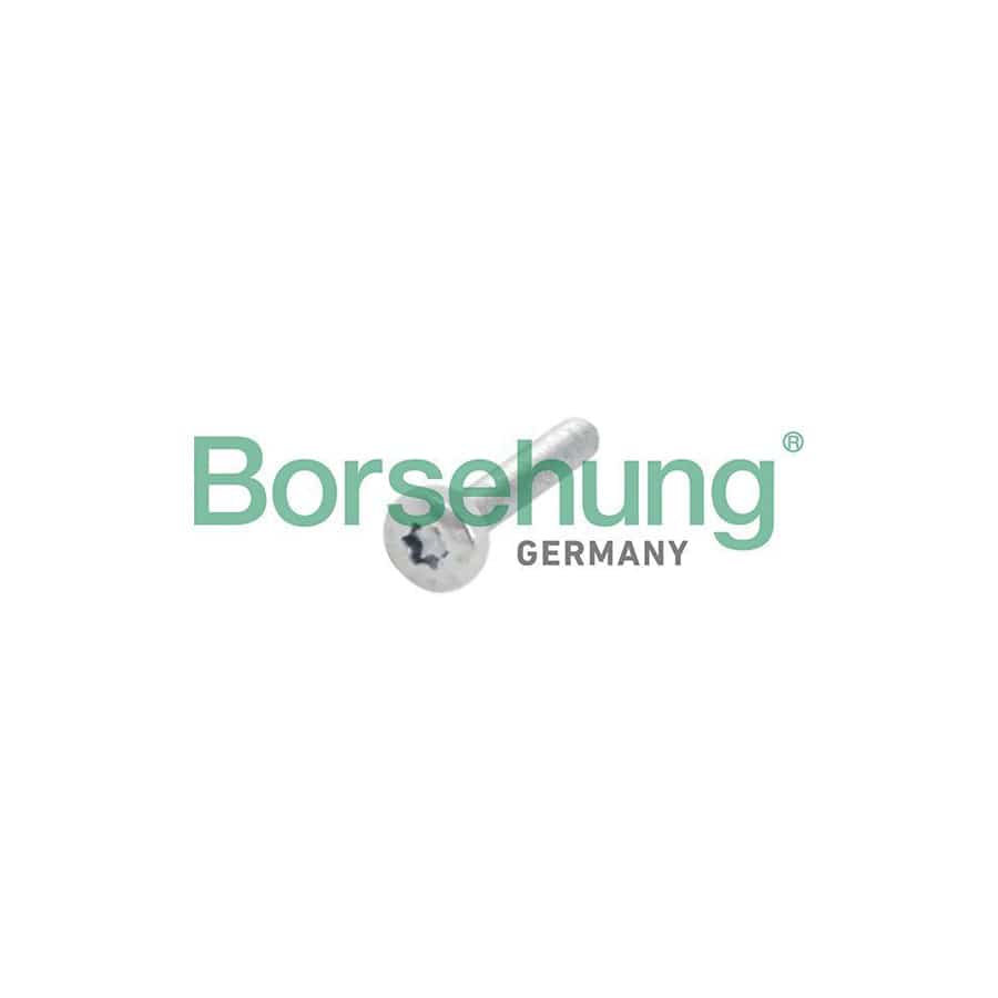 Borsehung B10634 Screw, Camshaft Gear