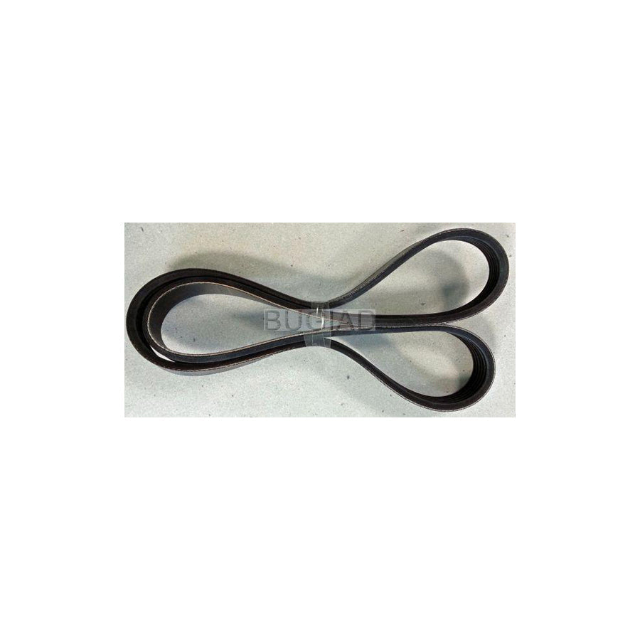 BUGIAD Bsp23196 V-Ribbed Belt