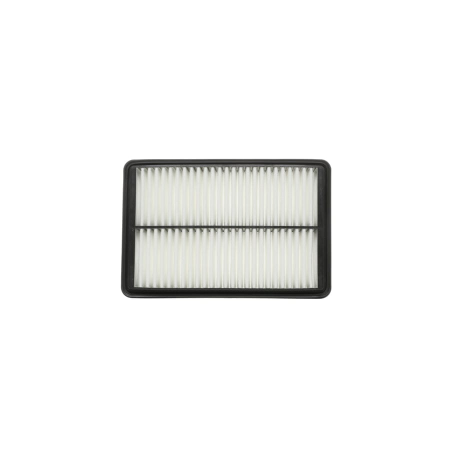 Ridex 8A0539 Air Filter