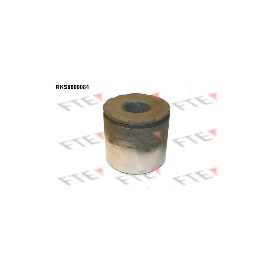 FTE Rks8699084 Piston, Brake Caliper