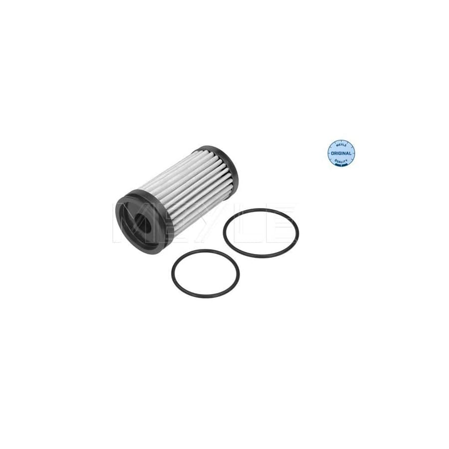Meyle 714 136 0004 Hydraulic Filter, Automatic Transmission For Ford Focus