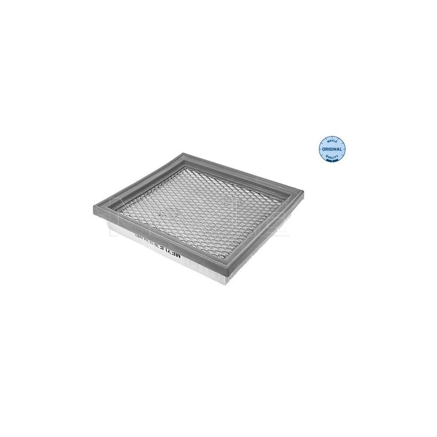 Meyle 36-12 321 0003 Air Filter