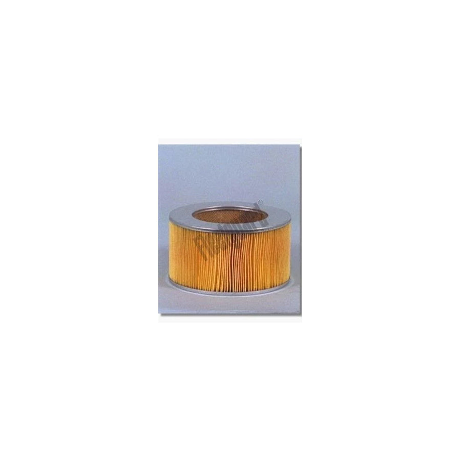 Fleetguard Af4621 Air Filter