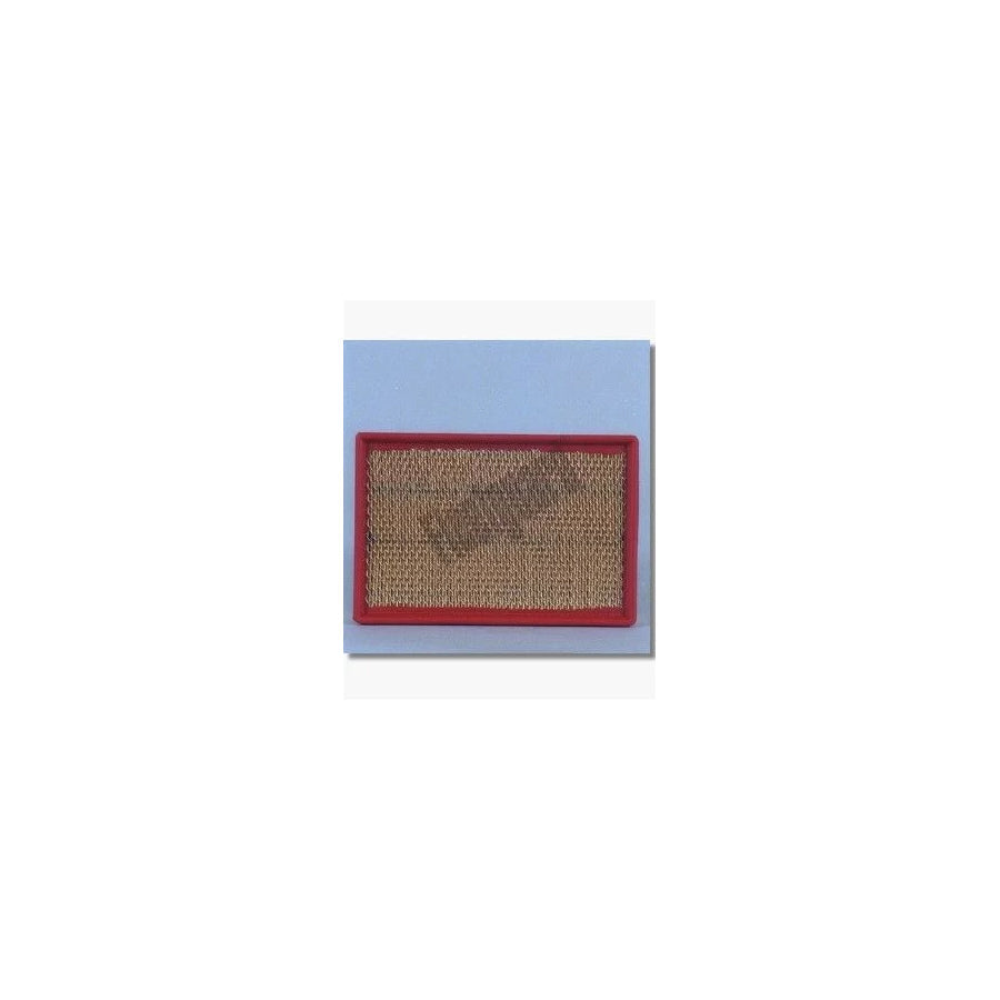Fleetguard Af4619 Air Filter