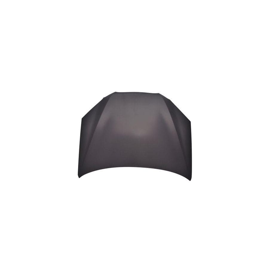 Abakus 01952100 Bonnet for Hyundai Genesis