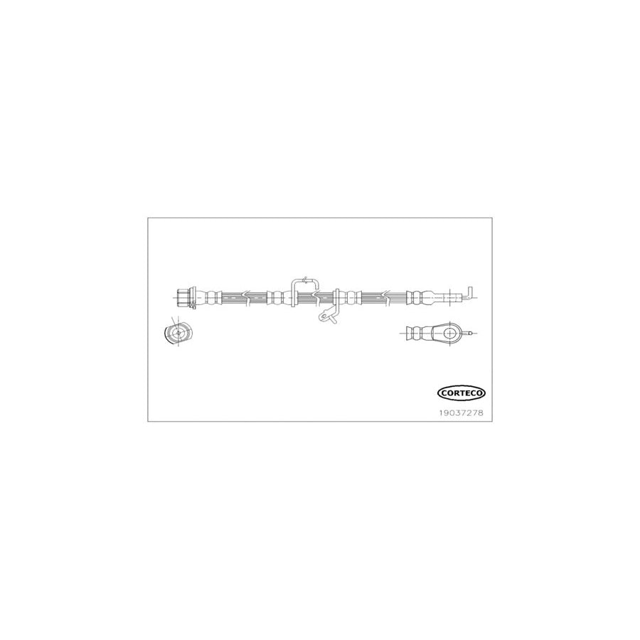 Corteco 19037278 Brake Hose