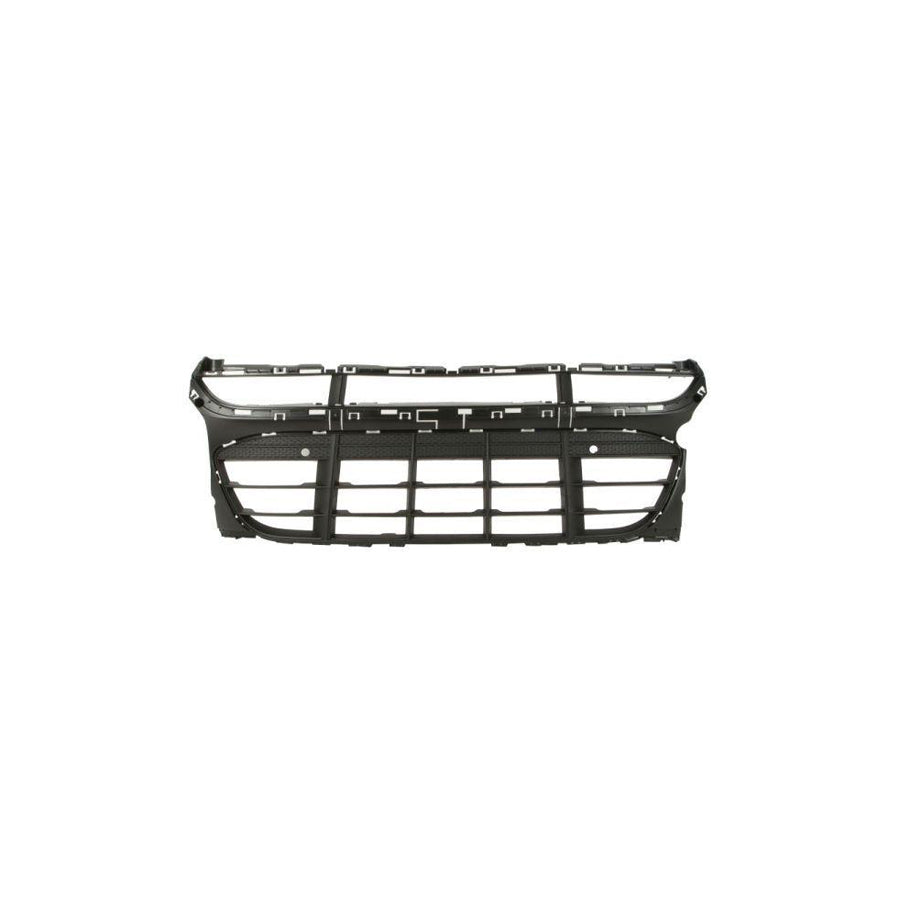 Blic 6502-07-5724990P Radiator Grille
