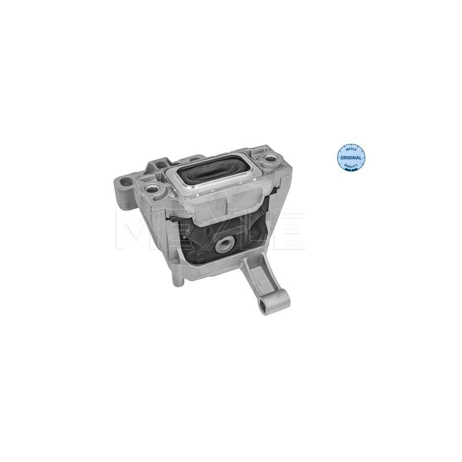 Meyle 100 199 0170 Engine Mount