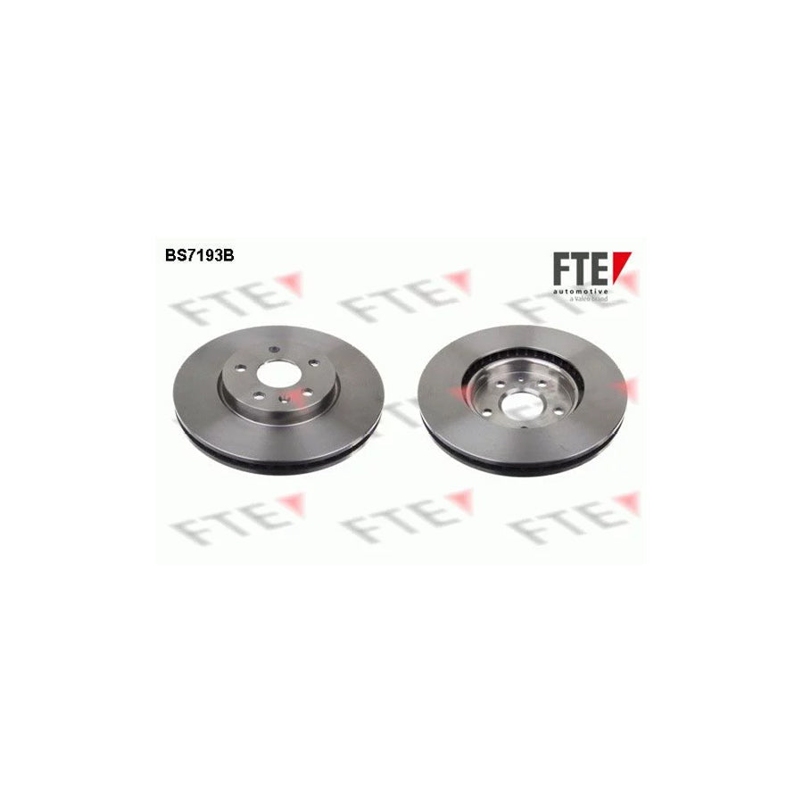 FTE 9081078 Brake Disc
