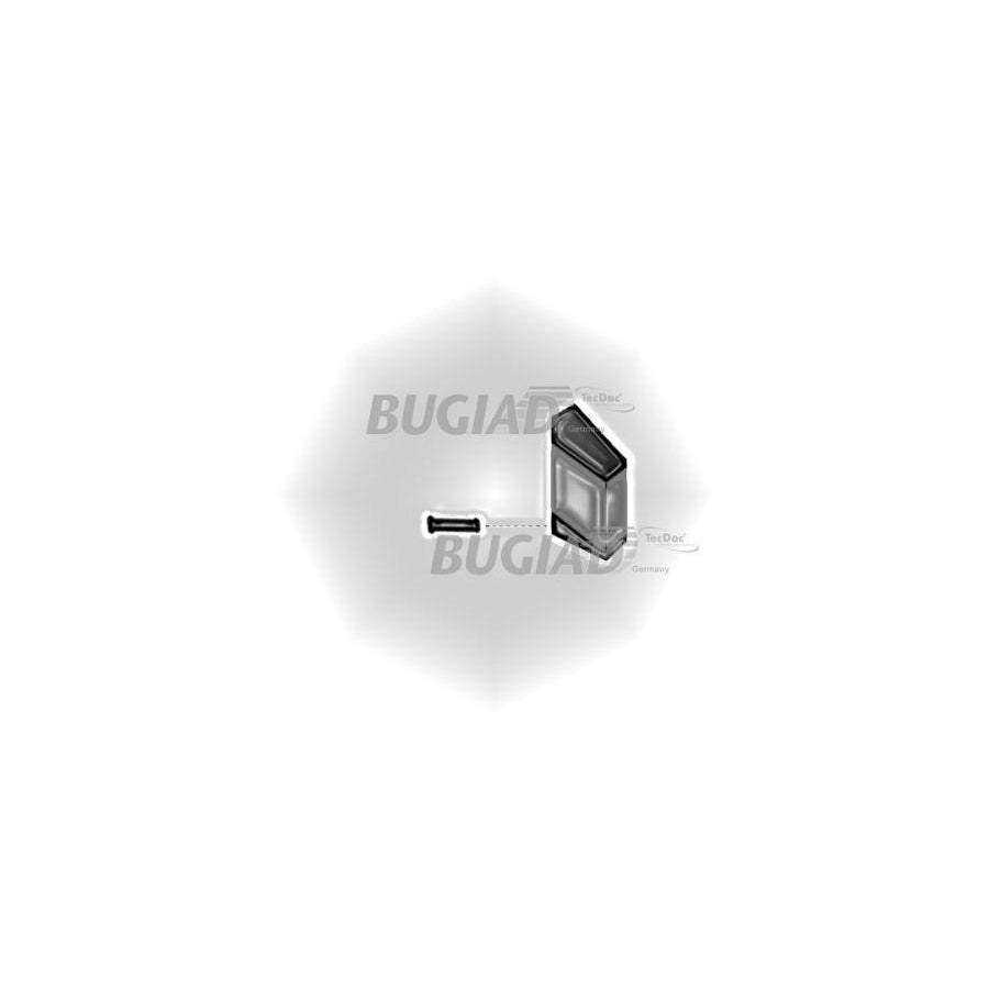 Bugiad 86635 Charger Intake Hose For Audi A6
