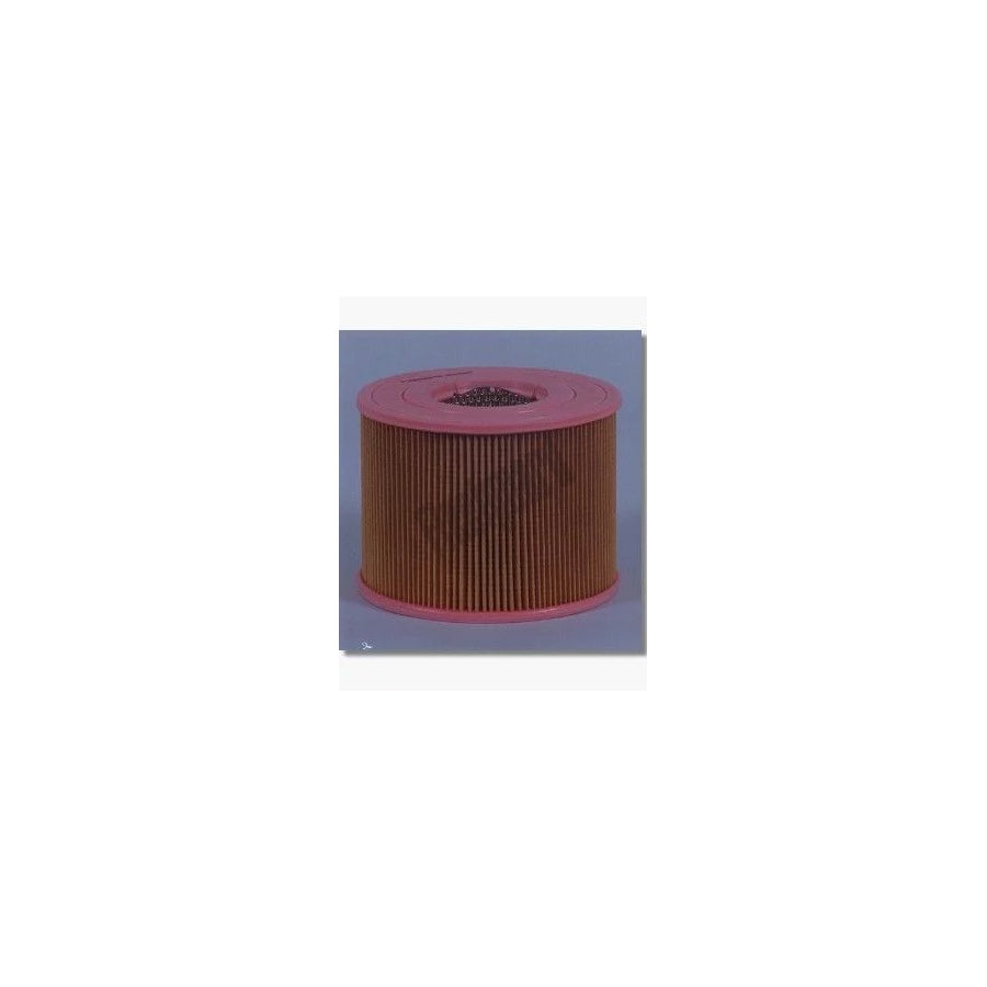 Fleetguard Af4607 Air Filter for Toyota Dyna