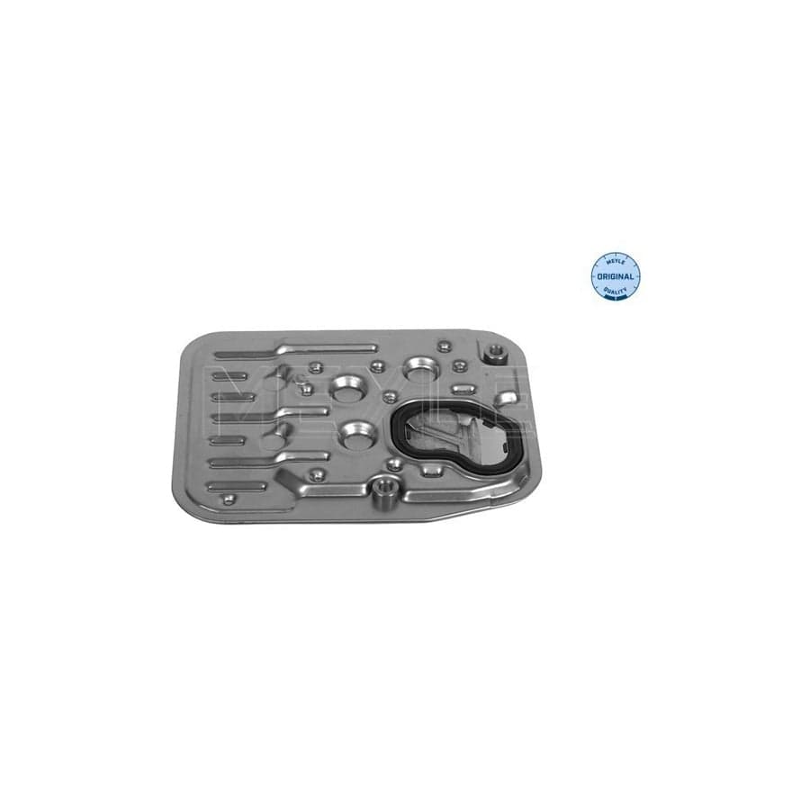 Meyle 100 325 0002 Hydraulic Filter, Automatic Transmission