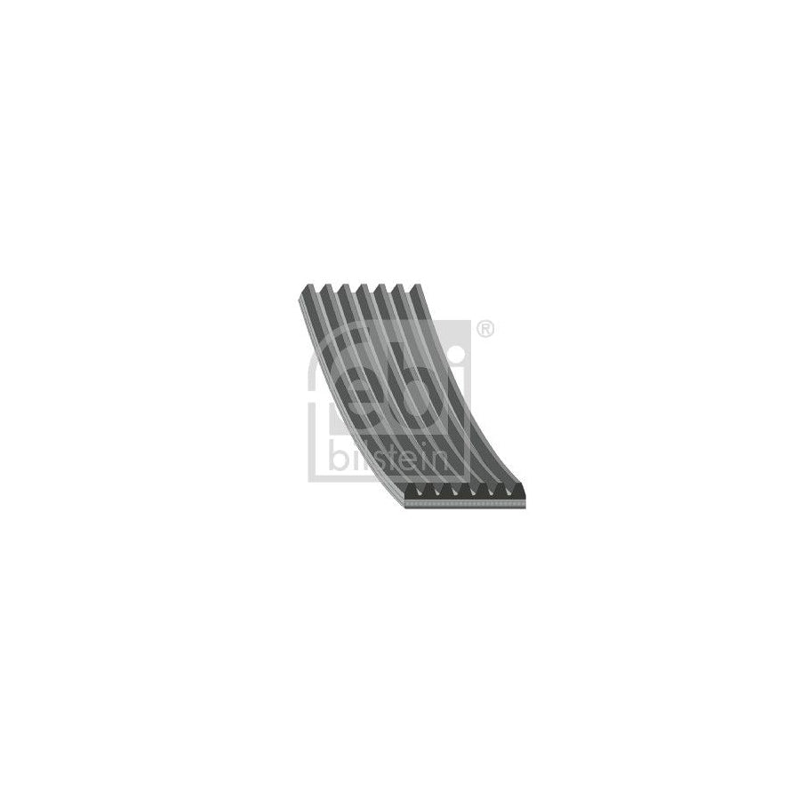 Febi Bilstein 29031 V-Ribbed Belt for BMW X5 (E53)