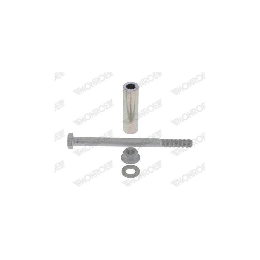 Monroe Ak248 Screw Kit, Suspension Strut / Wheel Bearing Housing