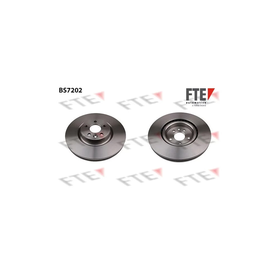 FTE 9071165 Brake Disc
