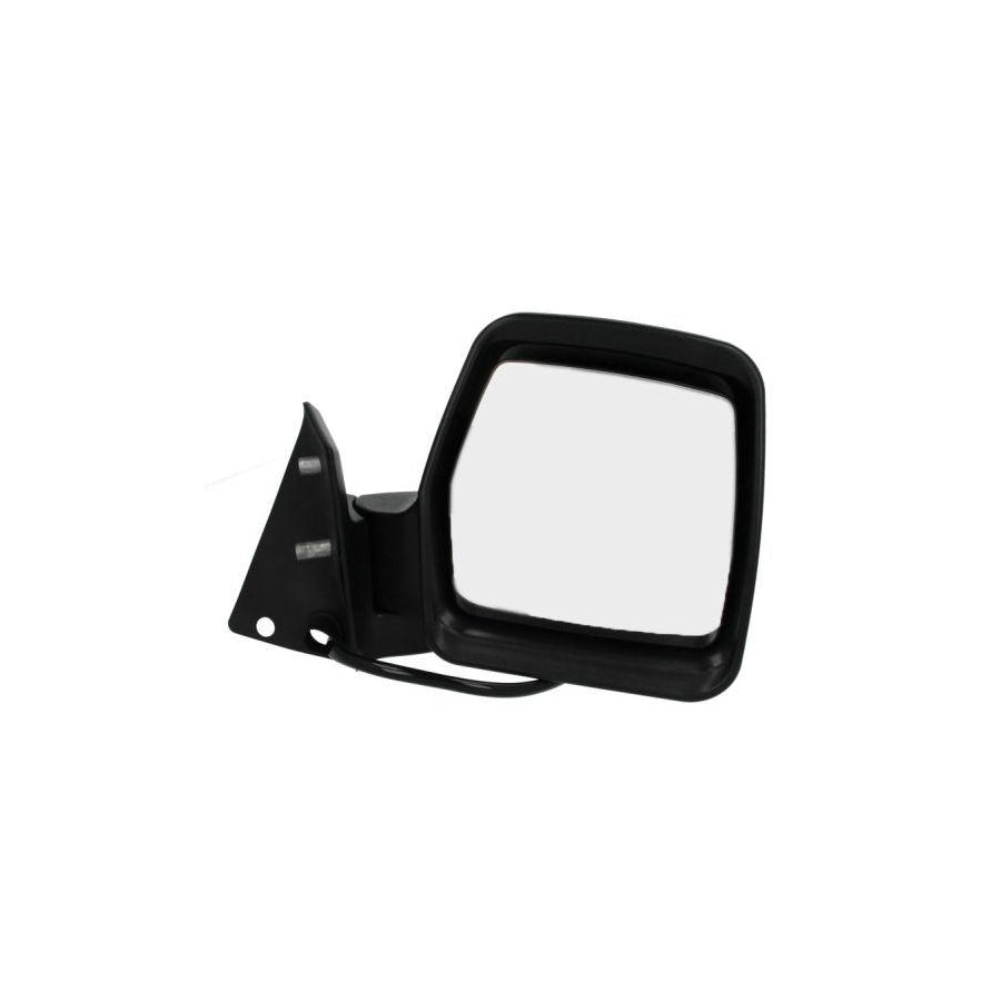 Blic 5402-04-9221973 Wing Mirror