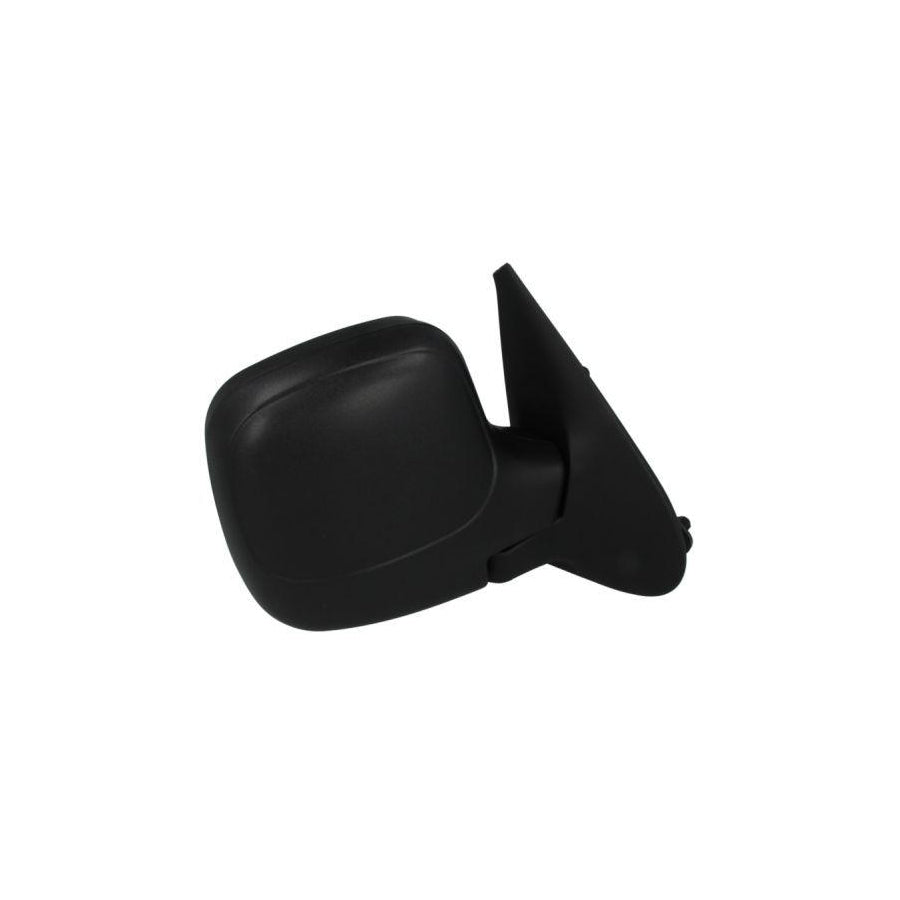 Blic 5402-04-9221972 Wing Mirror