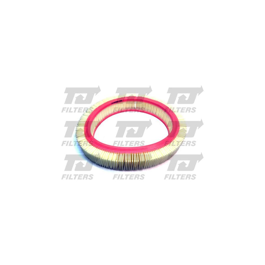 Quinton Hazell QFA0819 Air Filter