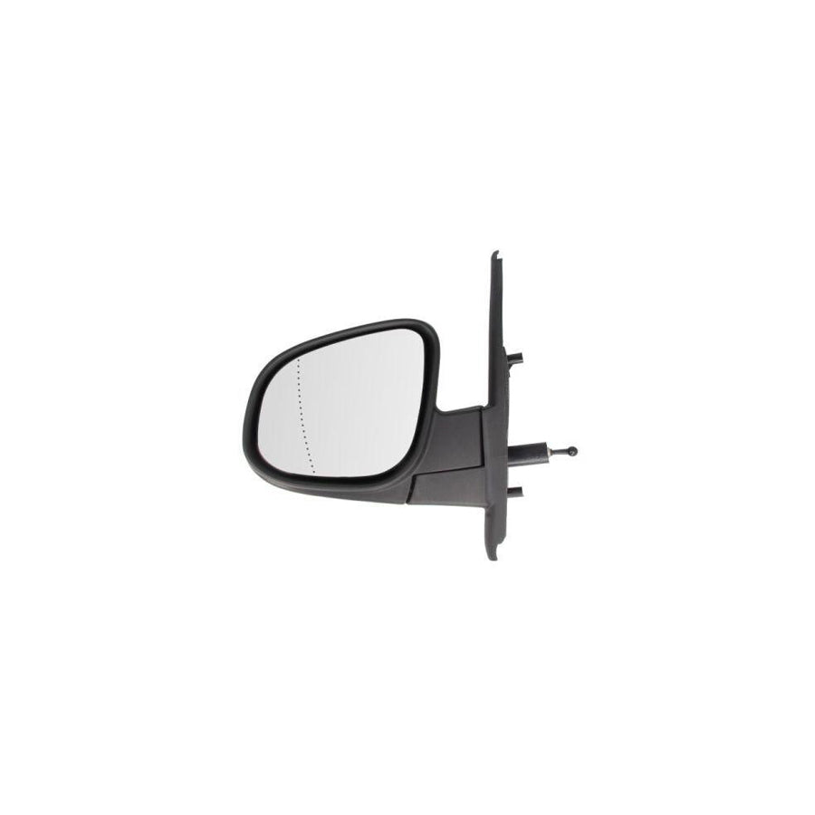 Blic 5402-02-2001749P Wing Mirror