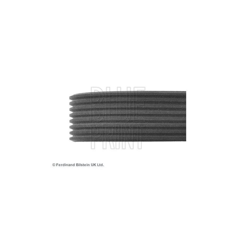 Blue Print Adm59626 V-Ribbed Belt