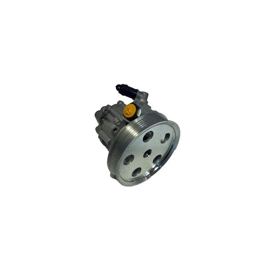 BUGIAD Bsp25192 Power Steering Pump for Audi A4