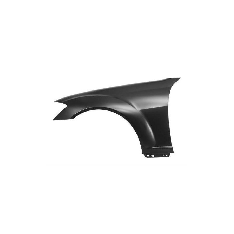 Blic 6504-04-3514311P Wing Fender Suitable For Mercedes-Benz S-Class Saloon (W221)