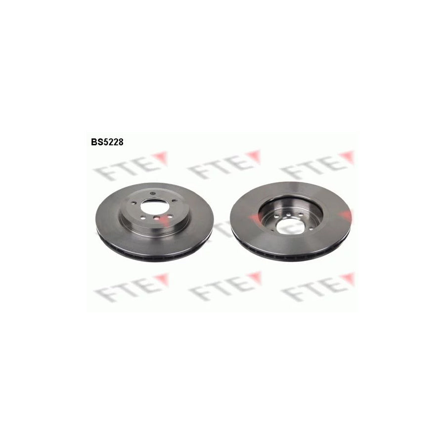 FTE Bs5228 Brake Disc