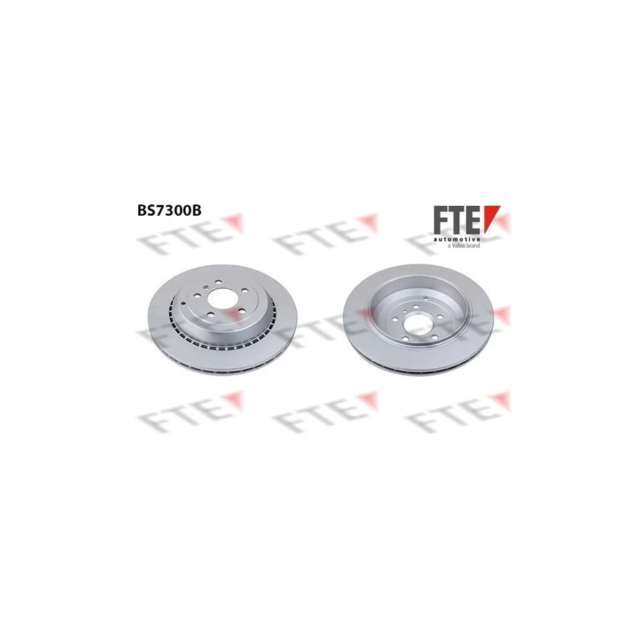 FTE 9081099 Brake Disc