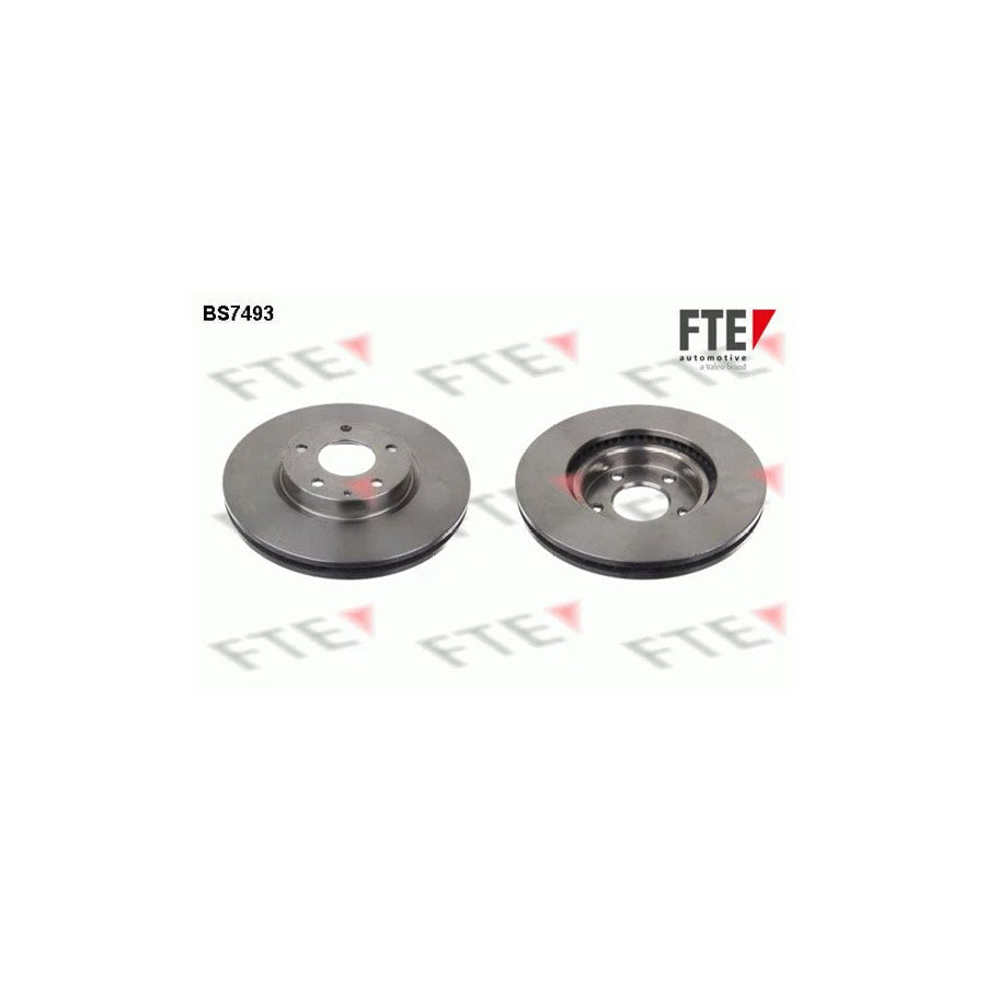 FTE Bs7493 Brake Disc