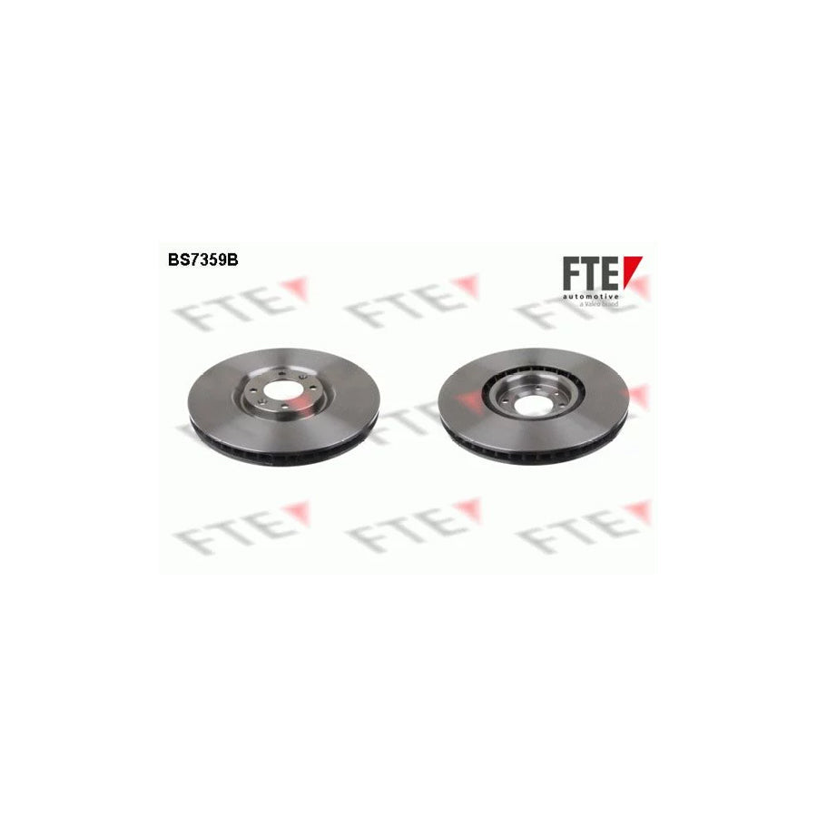 FTE 9081098 Brake Disc