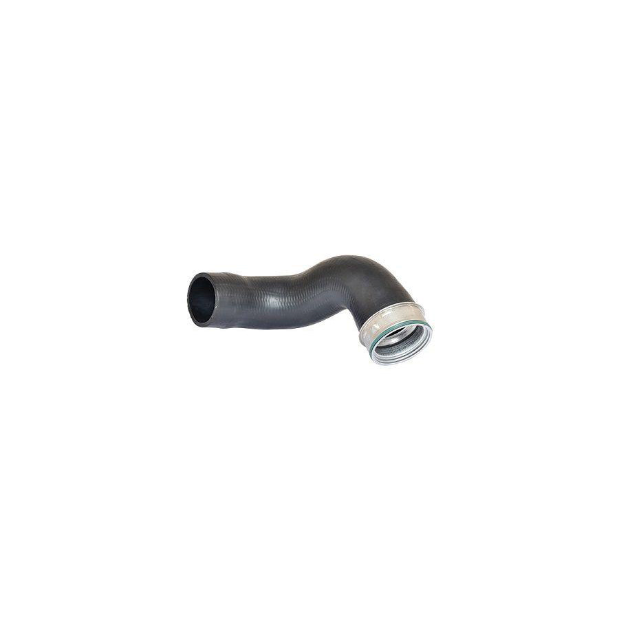 BUGIAD 81616 Charger Intake Hose Suitable for Mercedes-Benz E-Class
