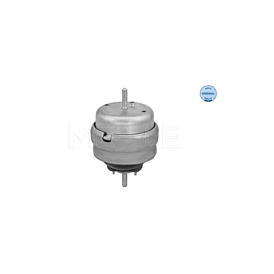 Meyle 100 199 0180 Engine Mount