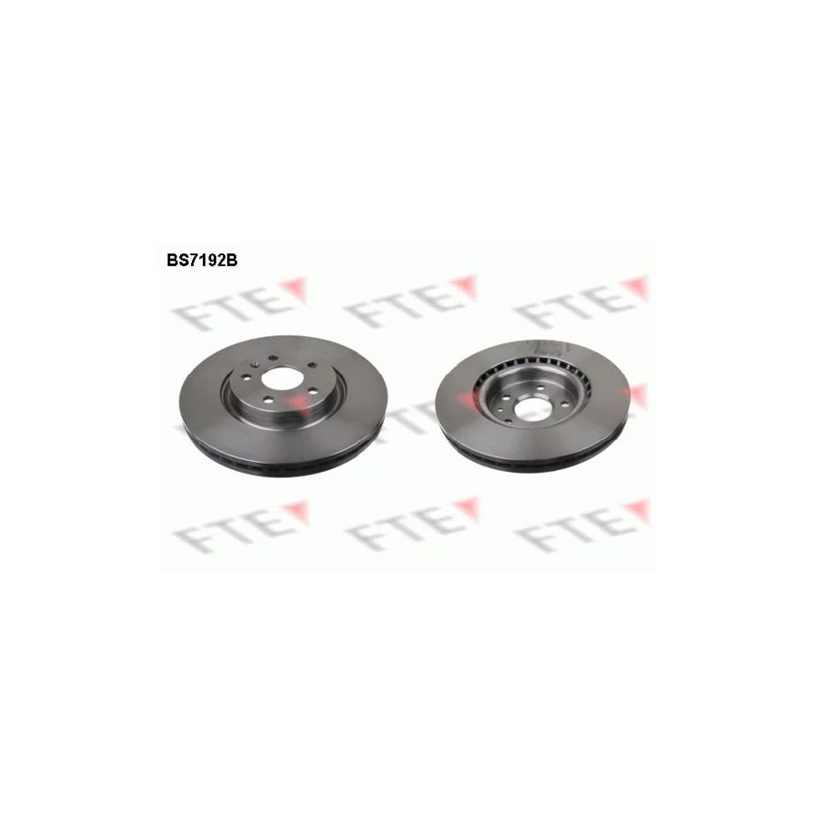 FTE 9081089 Brake Disc