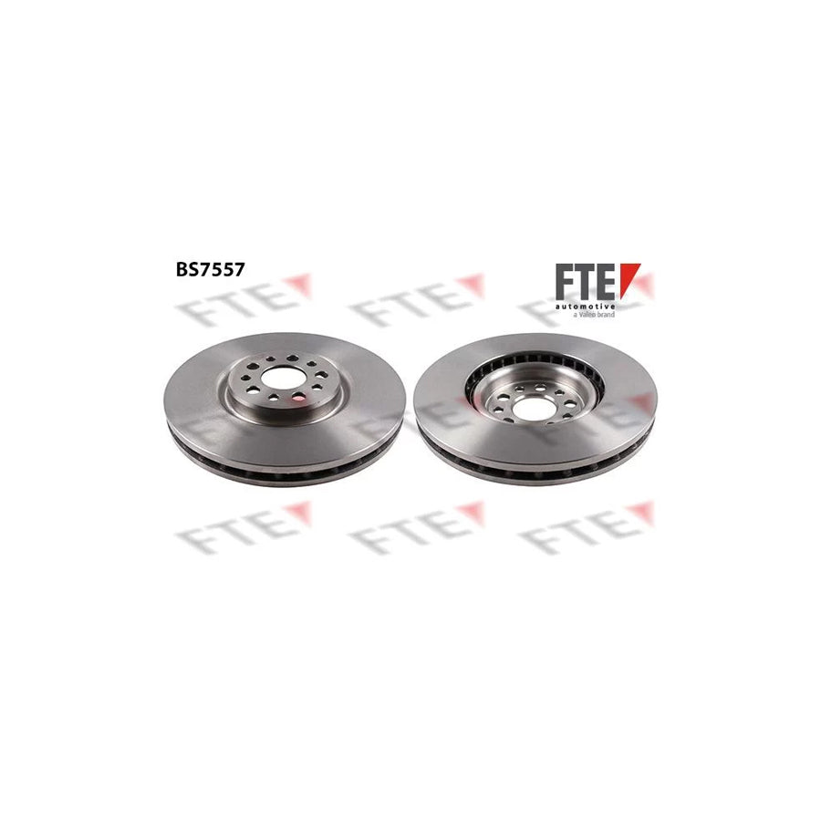 FTE 9071188 Brake Disc