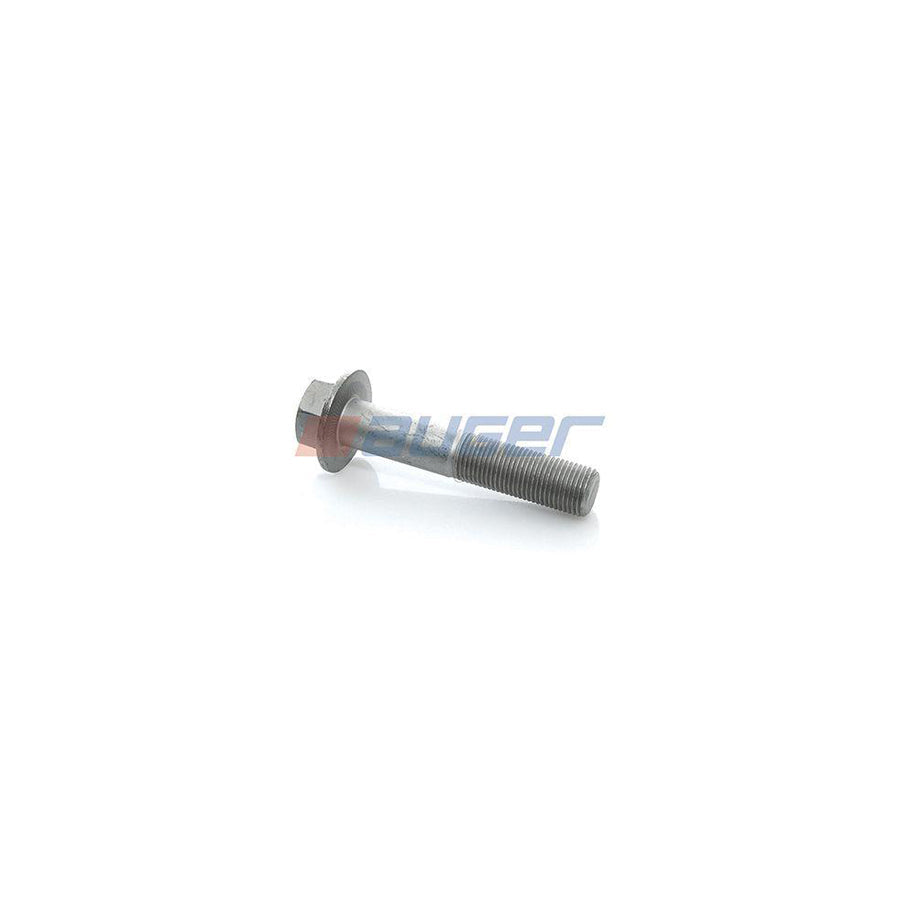 Auger 51528 Screw