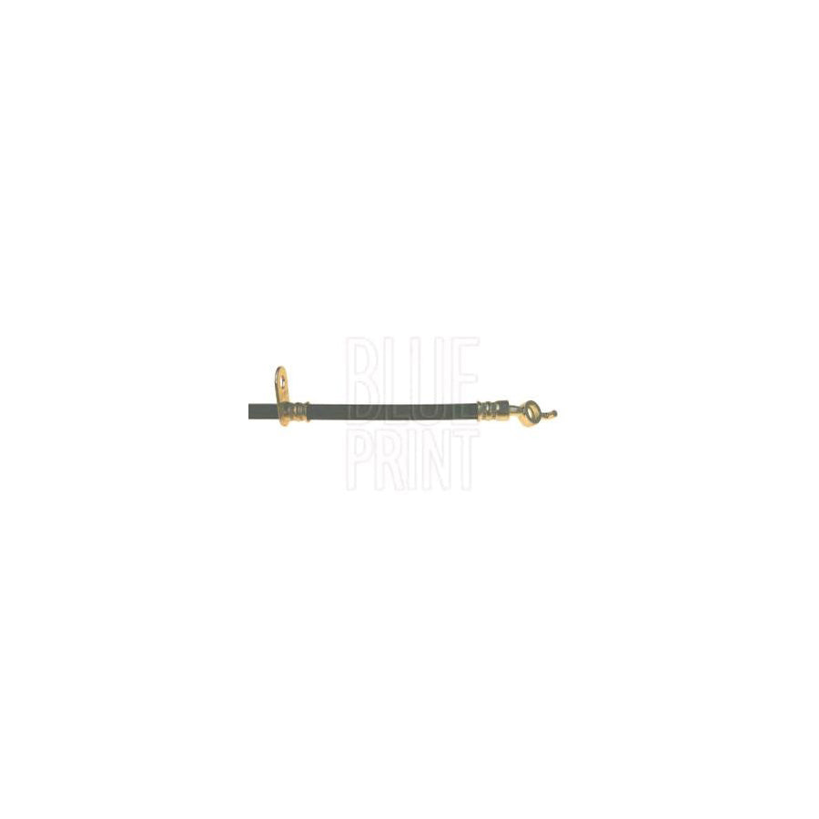 Blue Print Adg053174 Brake Hose