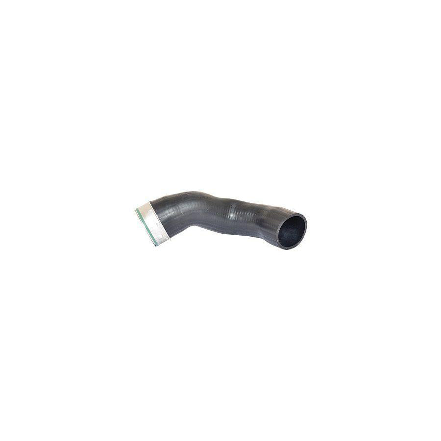 BUGIAD 81611 Charger Intake Hose Suitable for Mercedes-Benz E-Class