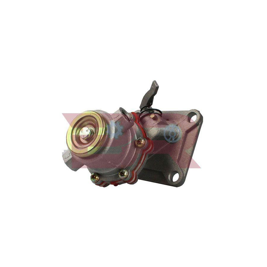 Botto Ricambi Brm0098 Fuel Pump
