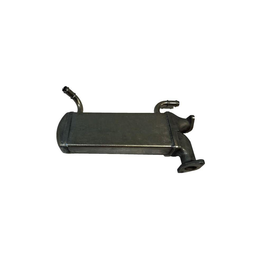 BUGIAD Bsp25198 Egr Cooler
