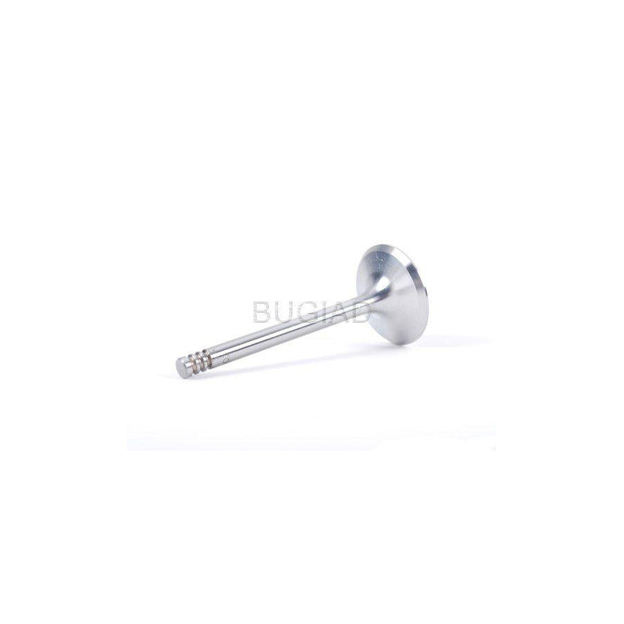 BUGIAD Bsp21548 Inlet Valve