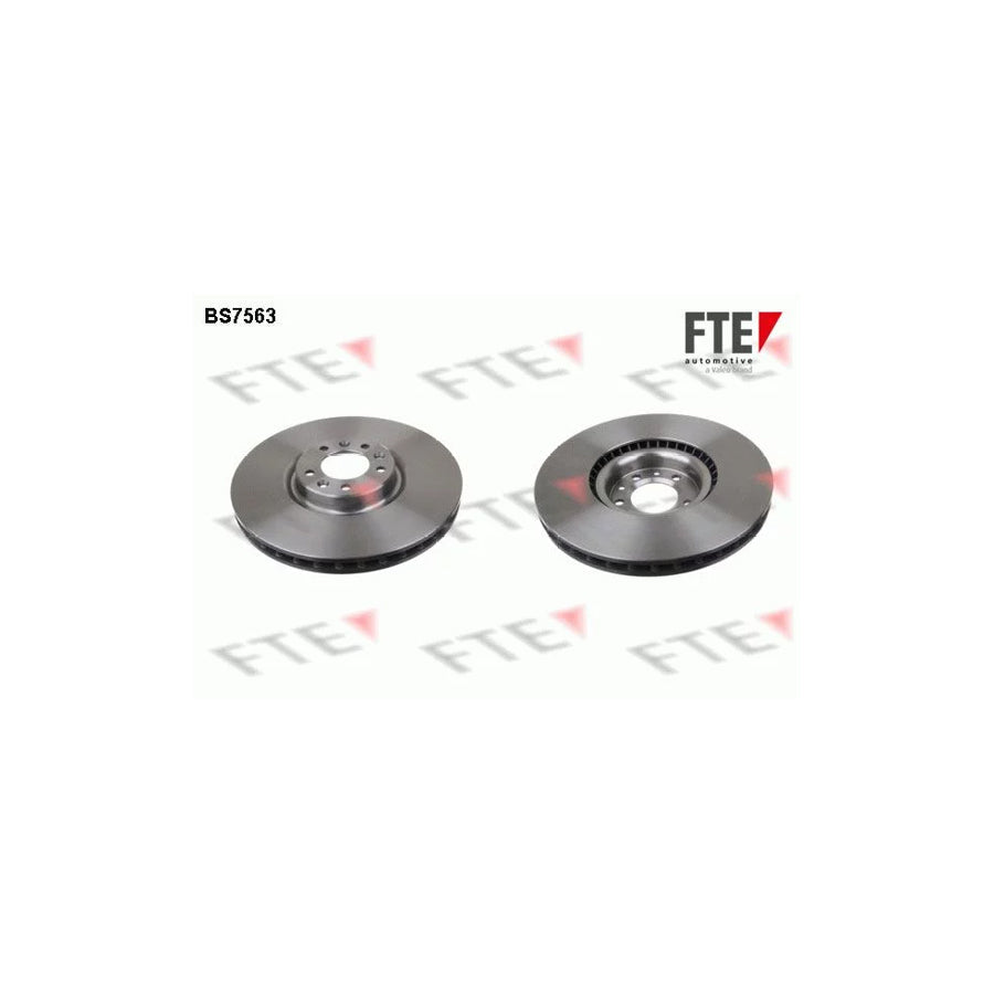 FTE 9071184 Brake Disc